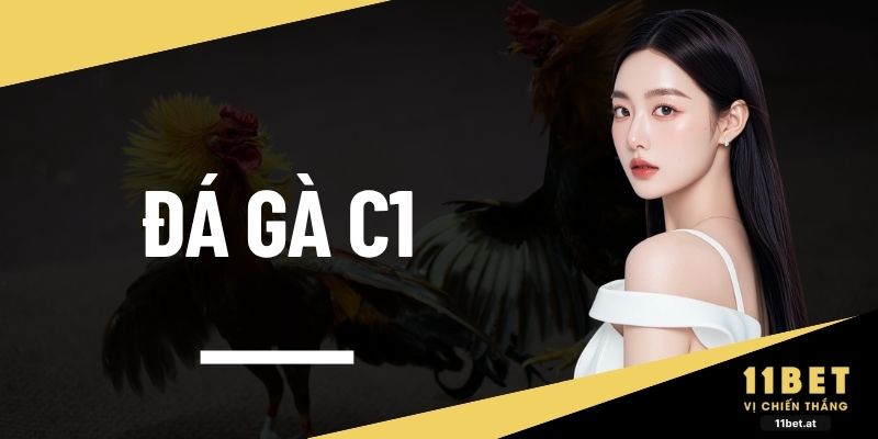 Đá gà C1