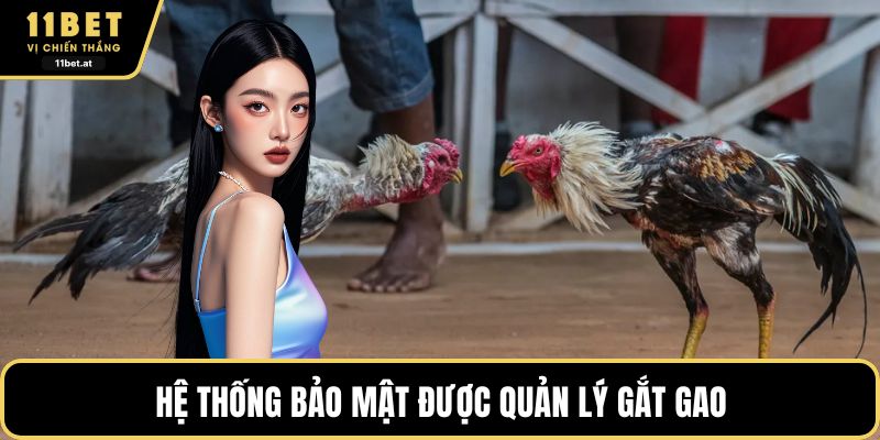 Hệ thống bảo mật được quản lý gắt gao