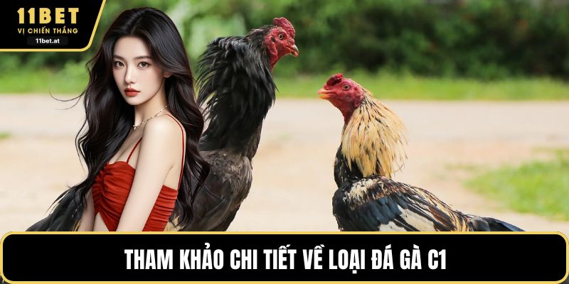 Tham khảo chi tiết về loại đá gà C1