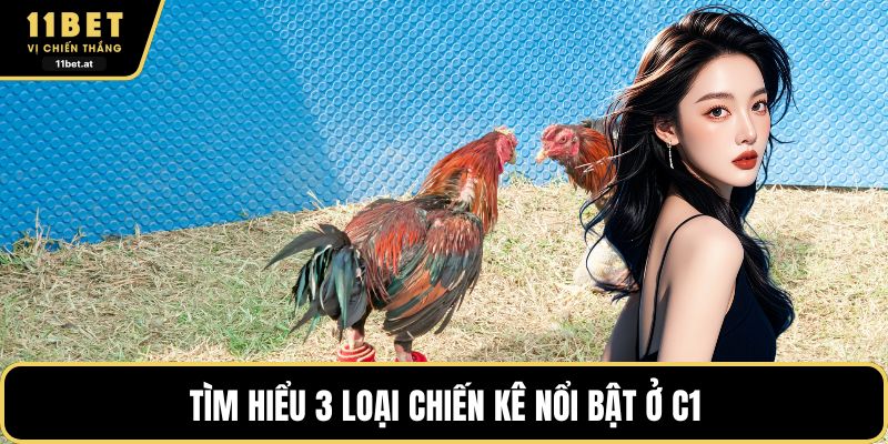Tìm hiểu 3 loại chiến kê nổi bật ở C1
